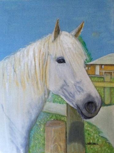 383-Cheval camargais