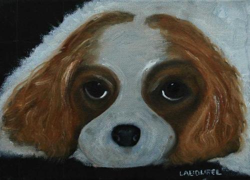 Cavalier King Charles