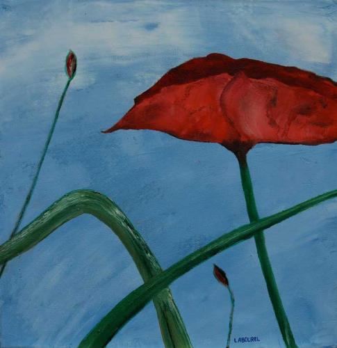 Coquelicot-4