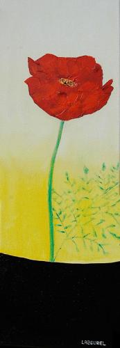 Coquelicot 6