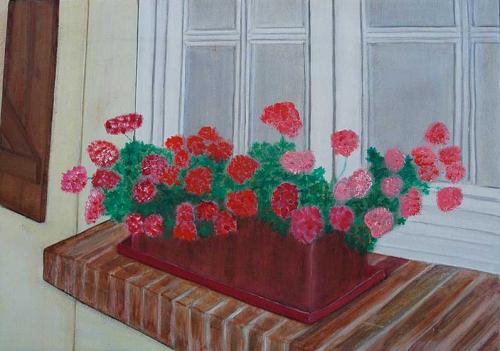 Geraniums