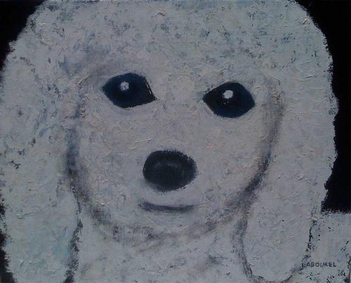 chien bichon 27x22 huile